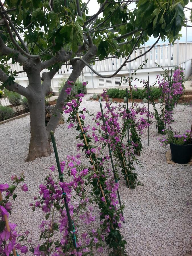 Guesthouse Lidija Kukljica Εξωτερικό φωτογραφία